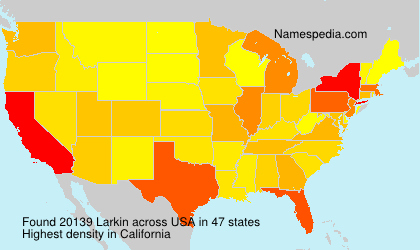 Surname Larkin in USA Surname Larkin in USA