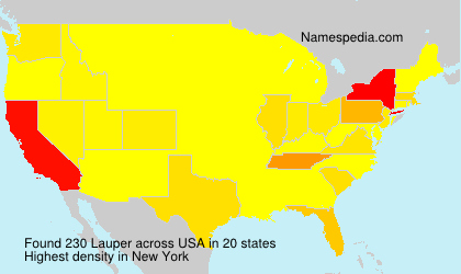Surname Lauper in USA Surname Lauper in USA