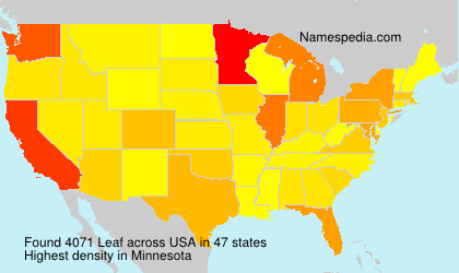 Surname Leaf in USA Surname Leaf in USA