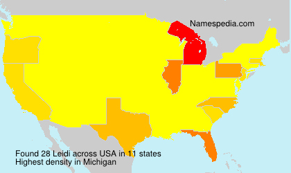 Surname Leidi in USA Surname Leidi in USA