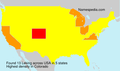 Surname Leking in USA Surname Leking in USA