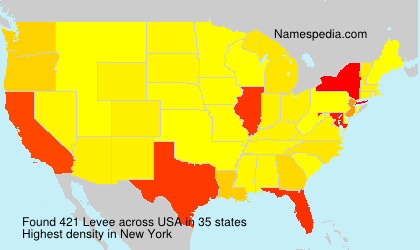 Surname Levee in USA Surname Levee in USA
