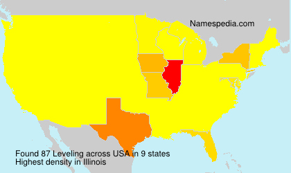 Surname Leveling in USA Surname Leveling in USA