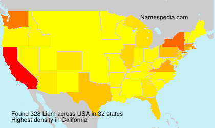 Surname Liam in USA Surname Liam in USA