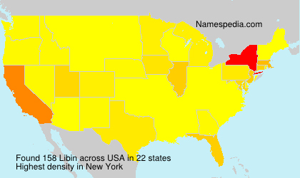 Surname Libin in USA Surname Libin in USA