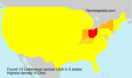 Surname Liebenauer in USA Surname Liebenauer in USA
