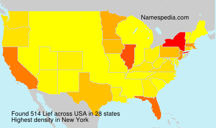 Surname Lief in USA Surname Lief in USA