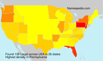 Surname Liegel in USA
