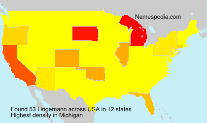 Surname Lingemann in USA