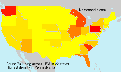 Surname Lining in USA Surname Lining in USA