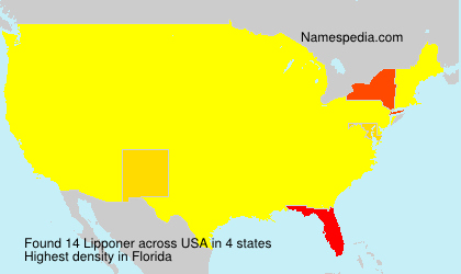Surname Lipponer in USA Surname Lipponer in USA