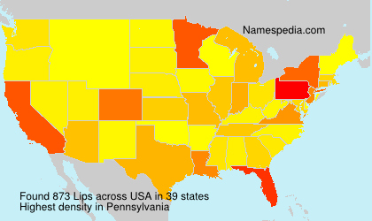 Surname Lips in USA Surname Lips in USA