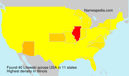 Surname Litewski in USA Surname Litewski in USA