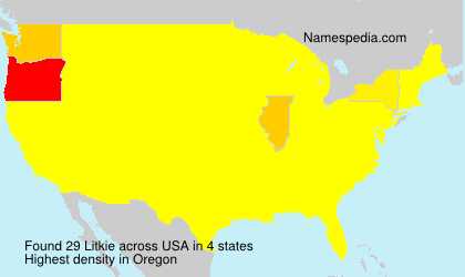 Surname Litkie in USA Surname Litkie in USA
