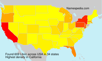 Surname Litvin in USA