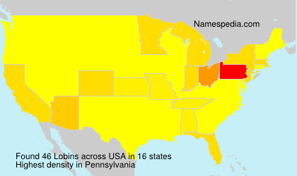 Surname Lobins in USA Surname Lobins in USA
