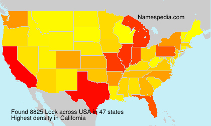 Surname Lock in USA Surname Lock in USA