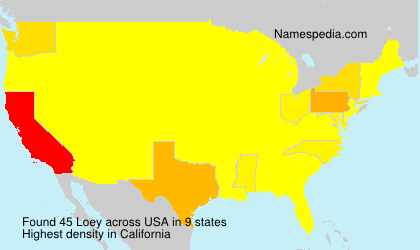 Surname Loey in USA