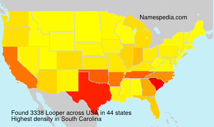 Surname Looper in USA Surname Looper in USA