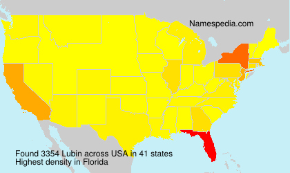 Surname Lubin in USA Surname Lubin in USA