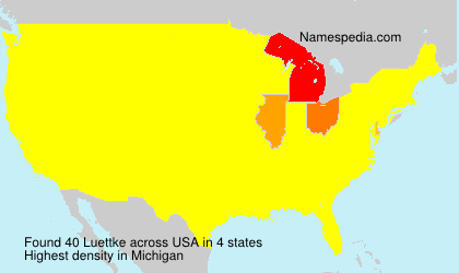 Surname Luettke in USA