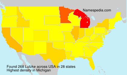 Surname Lutzke in USA