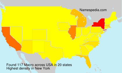Surname Macro in USA Surname Macro in USA