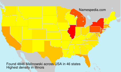 Surname Malinowski in USA Surname Malinowski in USA