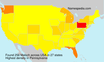 Surname Malsch in USA Surname Malsch in USA