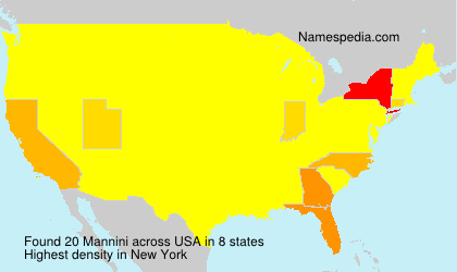 Surname Mannini in USA Surname Mannini in USA