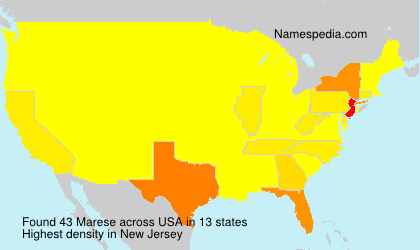 Surname Marese in USA