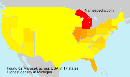 Surname Marusek in USA Surname Marusek in USA