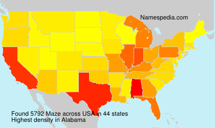 Surname Maze in USA Surname Maze in USA