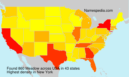 Surname Meadow in USA Surname Meadow in USA