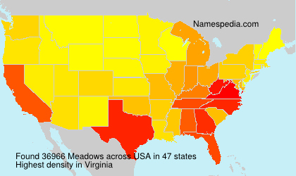 Surname Meadows in USA Surname Meadows in USA