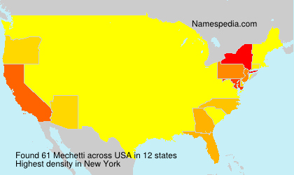 Surname Mechetti in USA Surname Mechetti in USA