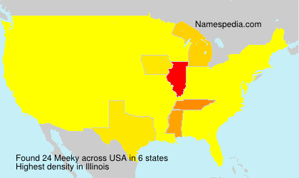 Surname Meeky in USA Surname Meeky in USA