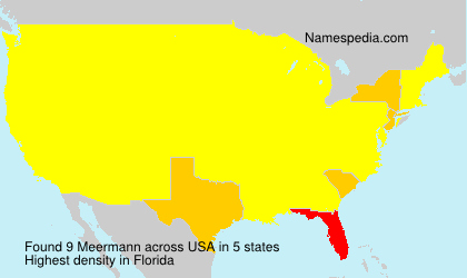 Surname Meermann in USA