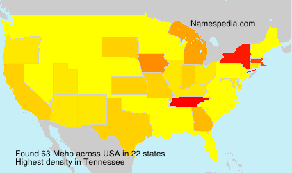 Surname Meho in USA