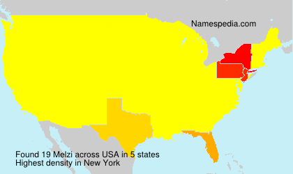Surname Melzi in USA