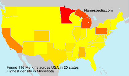 Surname Merkins in USA Surname Merkins in USA