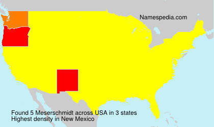 Surname Meserschmidt in USA Surname Meserschmidt in USA