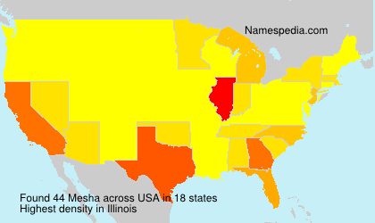 Surname Mesha in USA Surname Mesha in USA