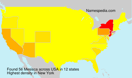Surname Mesisca in USA Surname Mesisca in USA