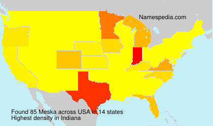 Surname Meska in USA Surname Meska in USA