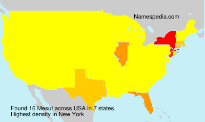 Surname Mesut in USA