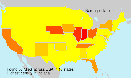 Surname Miedl in USA Surname Miedl in USA