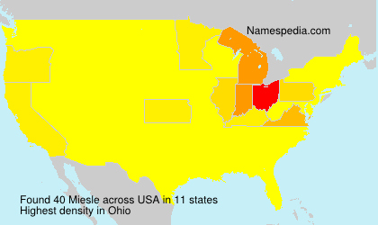Surname Miesle in USA