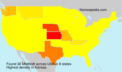 Surname Mildfeldt in USA Surname Mildfeldt in USA