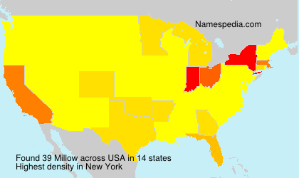 Surname Millow in USA Surname Millow in USA